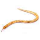 WOODEN SNAKE