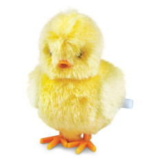 CLOCKWORK CHICK