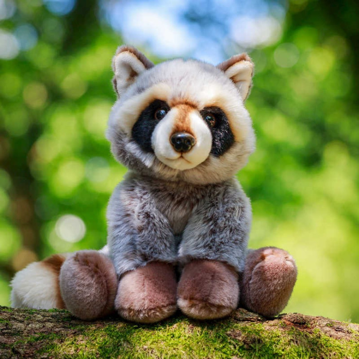 pppp_ANIMIGOS WORLD OF NATURE RACCOON - SZOP