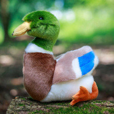 pppp_ANIMIGOS WORLD OF NATURE MALLARD DUCK - KACZKA