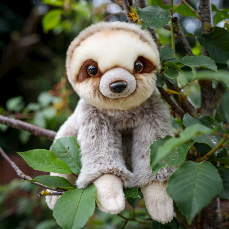 ANIMIGOS WORLD OF NATURE SLOTH