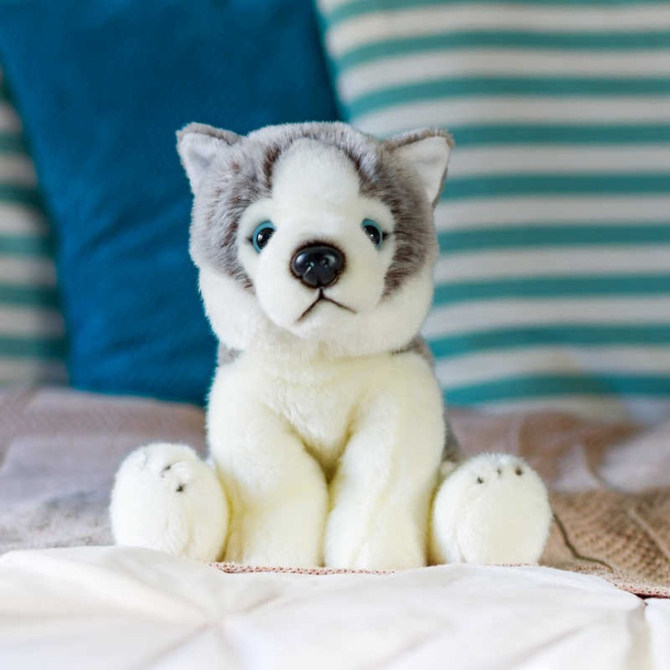 pppp_ANIMIGOS WORLD OF NATURE HUSKY - PIES HASKI