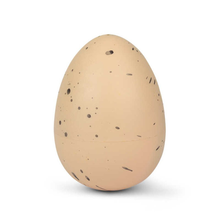 LARGE GROWING DINOSAUR EGG CLAM SHELLED