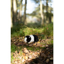 pppp_ANIMIGOS WORLD OF NATURE BLACK AND WHITE GUINEA PIG - ŚWINKA MORSKA