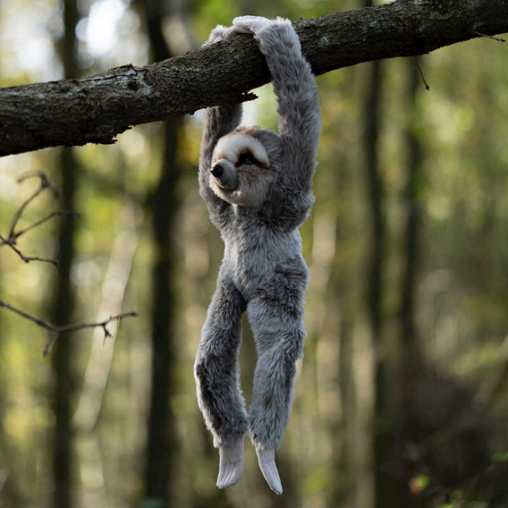 bbb_ANIMIGOS WORLD OF NATURE HANGING SLOTH -...