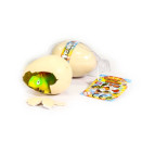 MAGIC GROW DINOSAUR EGG (SMALL)
