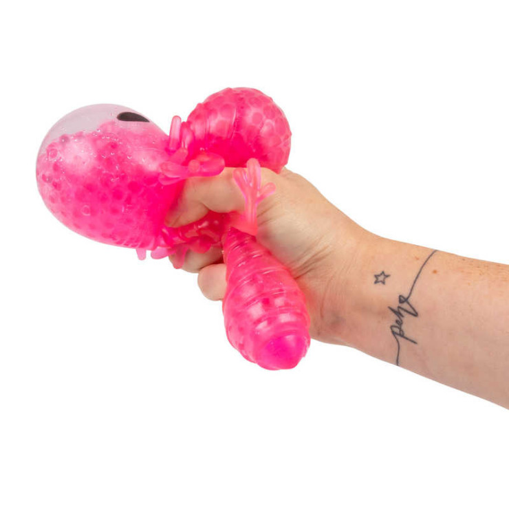 GNIOTEK AXOLOTL Z KULECZKAMI