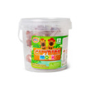 Mochi kapibara w tubie (12 szt.)