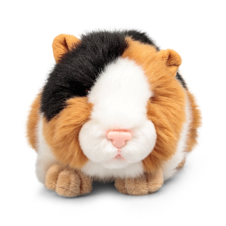 bbb_ANIMIGOS WORLD OF NATURE GUINEA PIG -...