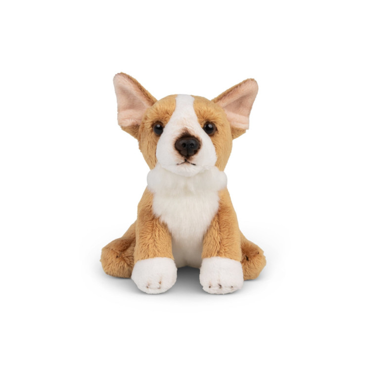 pppp_Animigos World of Nature – mini corgi