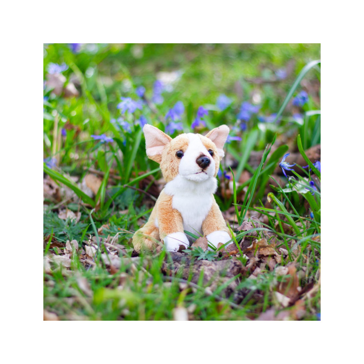 pppp_Animigos World of Nature – mini corgi