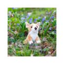 pppp_Animigos World of Nature – mini corgi
