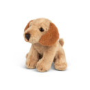 Animigos World of Nature – mini cockapoo