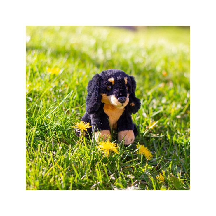 pppp_Animigos World of Nature – mini jamnik