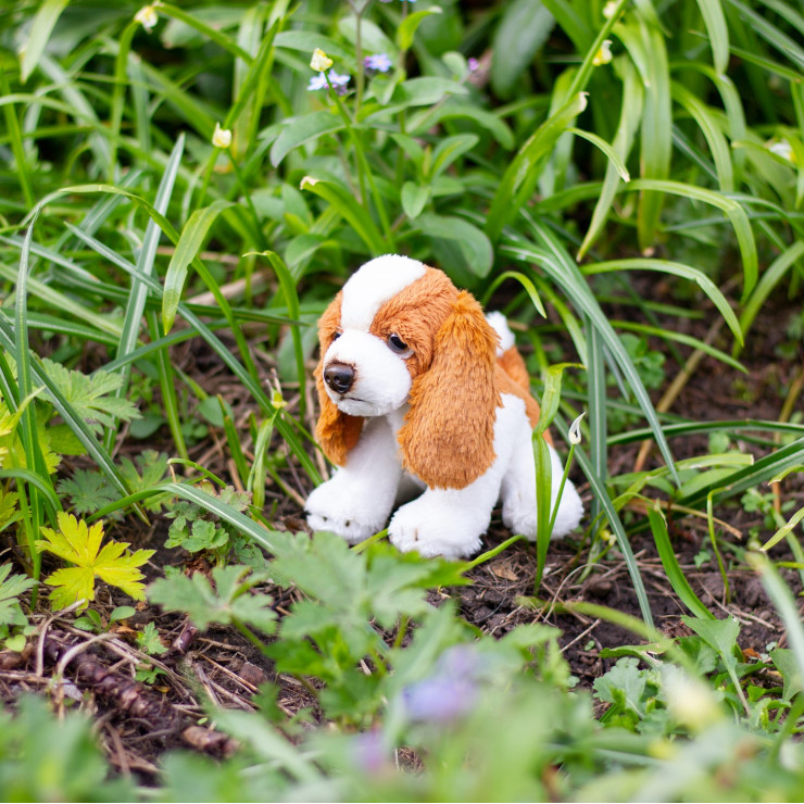 pppp_Animigos World of Nature – mini spaniel...