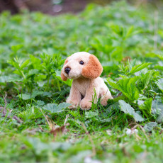 pppp_Animigos World of Nature – mini cockapoo 2