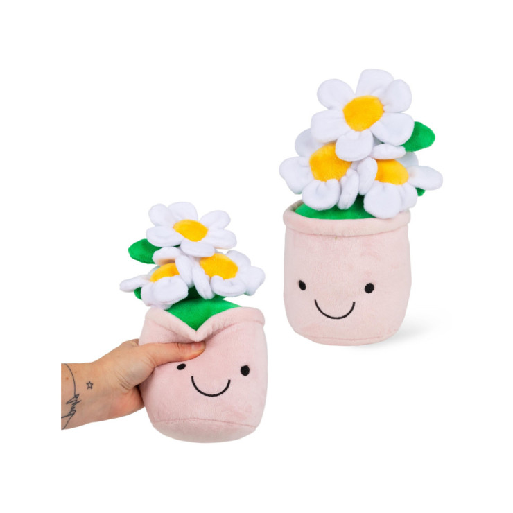 ANIMIGOS FUNKY FRIENDS – STOKROTKA