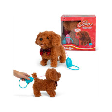 ANIMIGOS KRĘCONY COCKAPOO