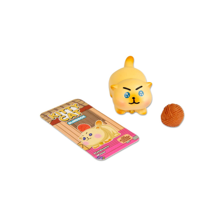 BLIND BOX KOTEK